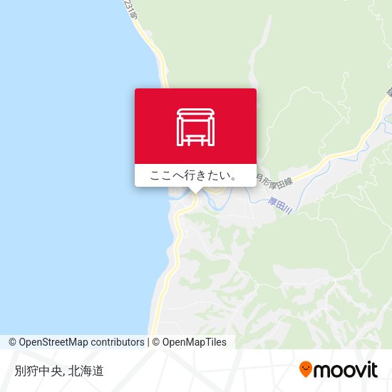 別狩中央地図