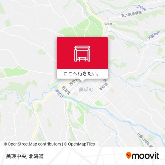 美瑛中央地図