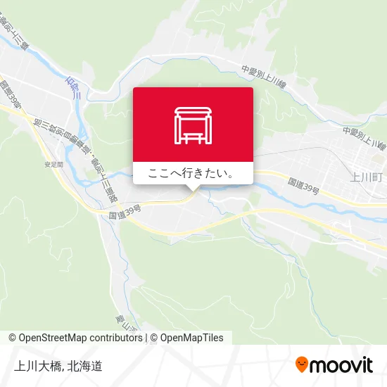 上川大橋地図