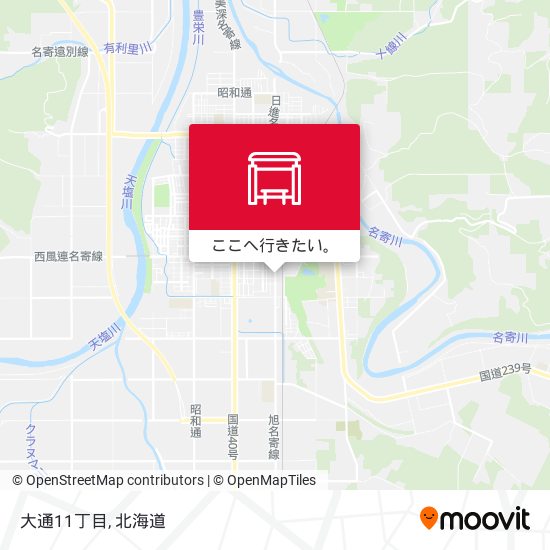 大通11丁目地図