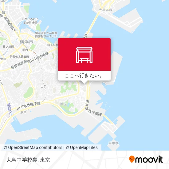 大鳥中学校裏地図