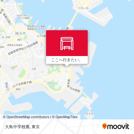 大鳥中学校裏地図