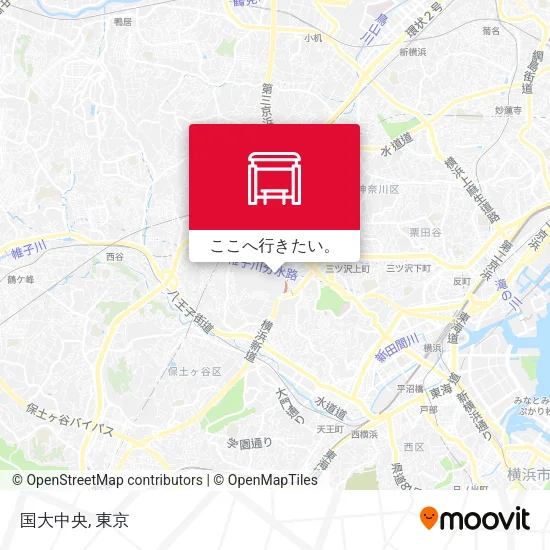 国大中央地図