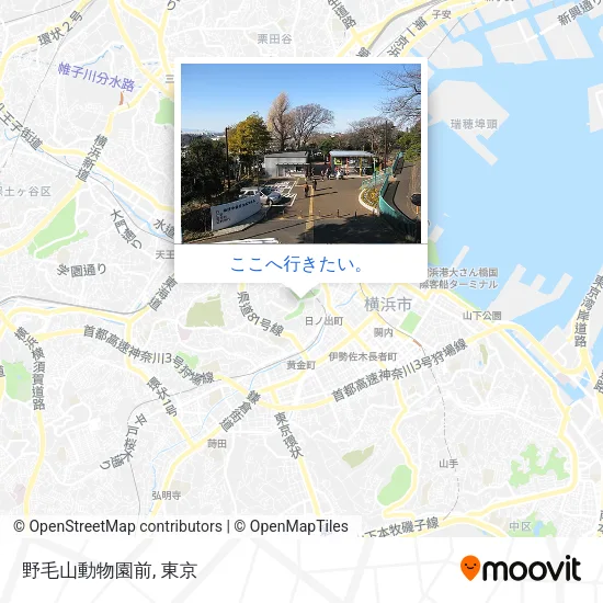 野毛山動物園前地図