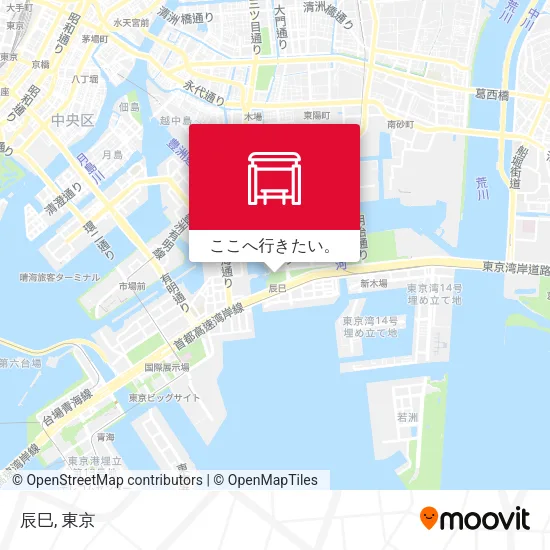 辰巳地図