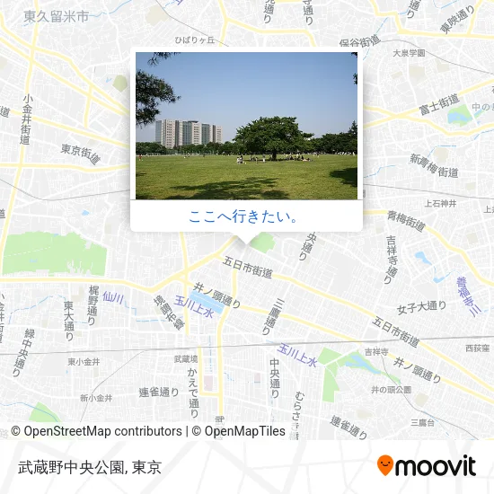 武蔵野中央公園地図