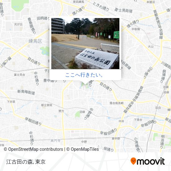 江古田の森地図