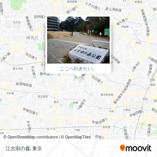 江古田の森地図
