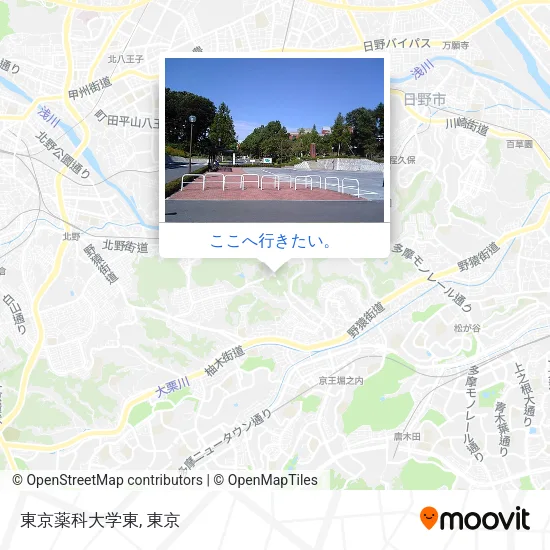 東京薬科大学東地図