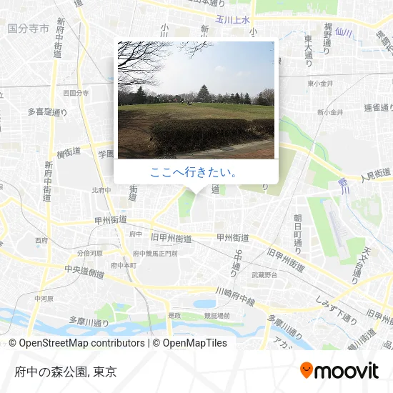 府中の森公園地図