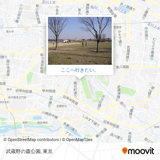 武蔵野の森公園地図