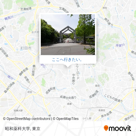 昭和薬科大学地図