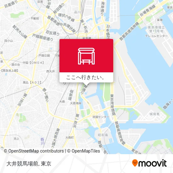 大井競馬場前地図