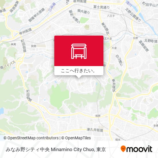みなみ野シティ中央 Minamino City Chuo地図