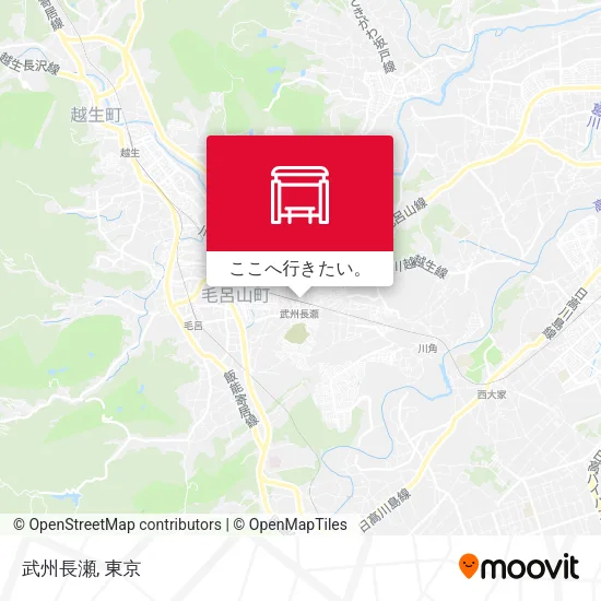 武州長瀬地図