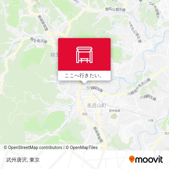 武州唐沢地図