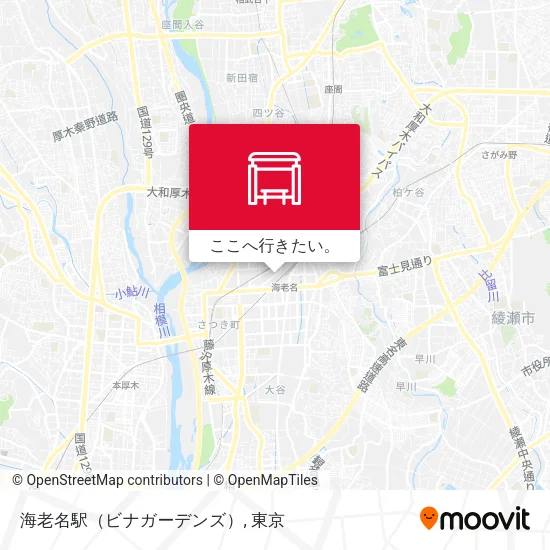 海老名駅（ビナガーデンズ）地図