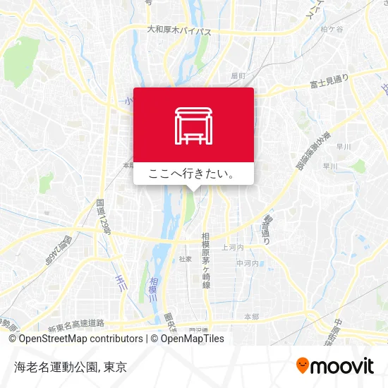 海老名運動公園地図