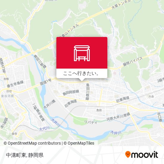 中溝町東地図
