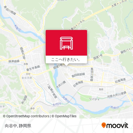 向谷中地図