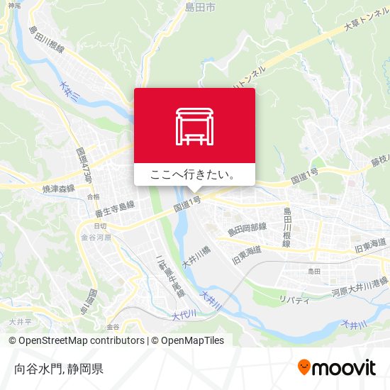 向谷水門地図