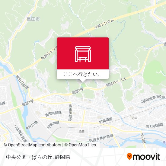 中央公園・ばらの丘地図