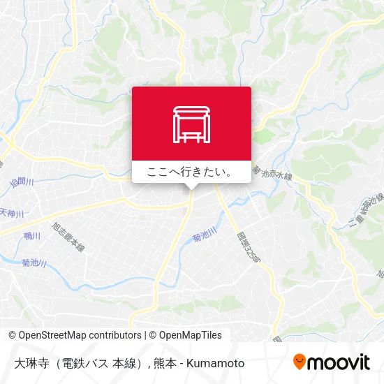 大琳寺（電鉄バス 本線）地図