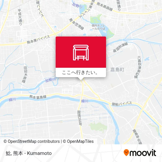 鯰地図