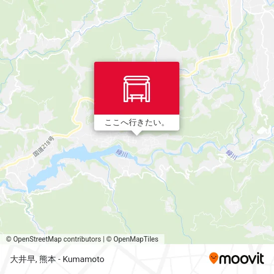 大井早地図