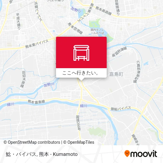 鯰・バイパス地図
