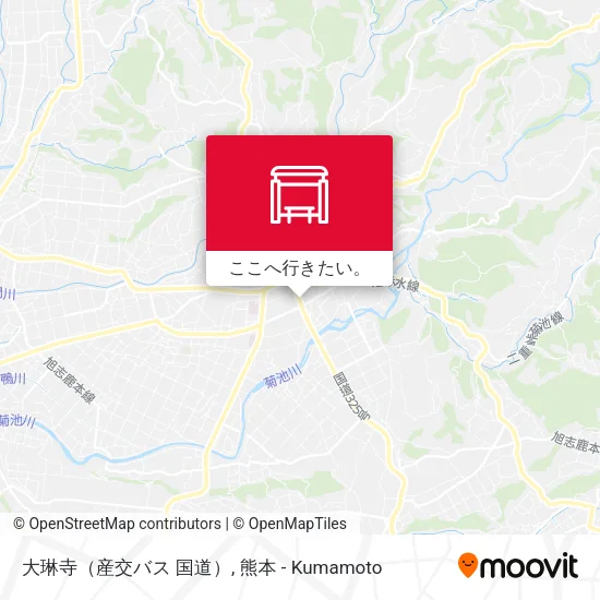 大琳寺（産交バス 国道）地図