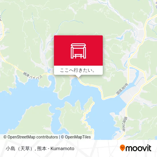 小島（天草）地図