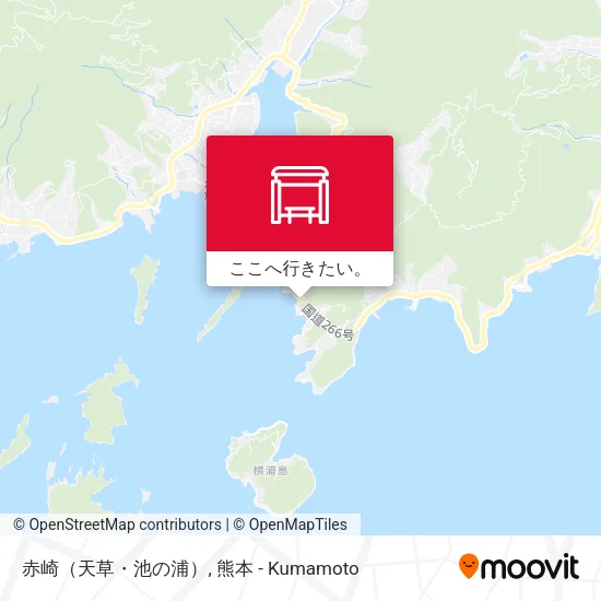 赤崎（天草・池の浦）地図