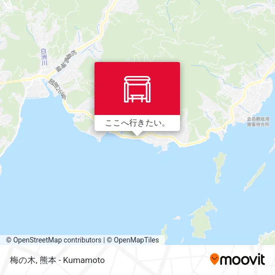 梅の木地図