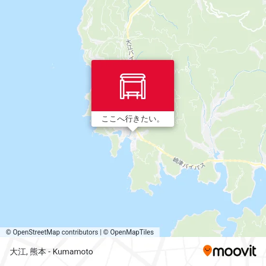 大江地図
