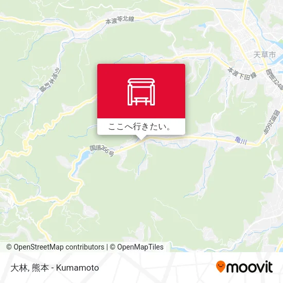 大林地図