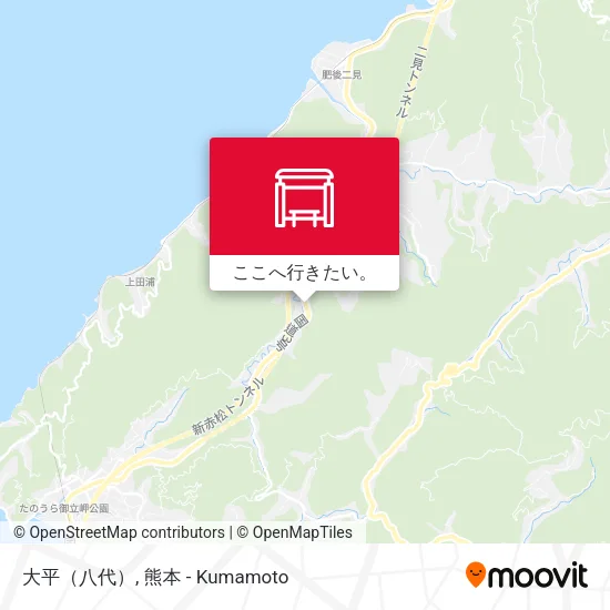 大平（八代）地図