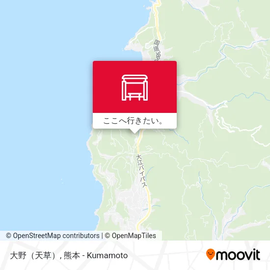 大野（天草）地図