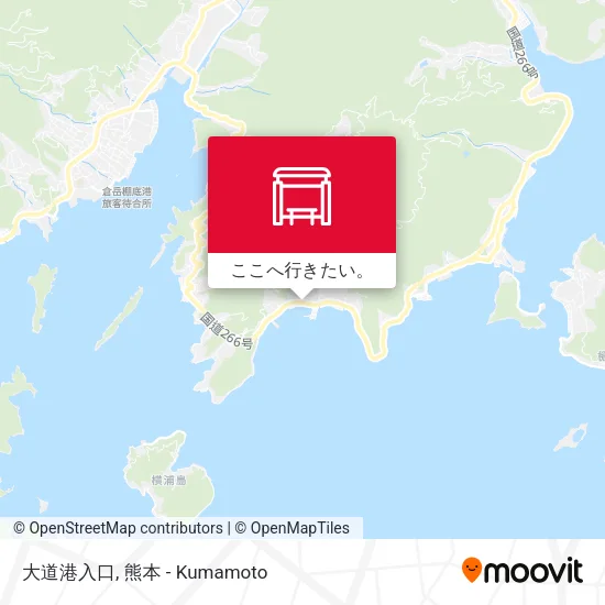 大道港入口地図