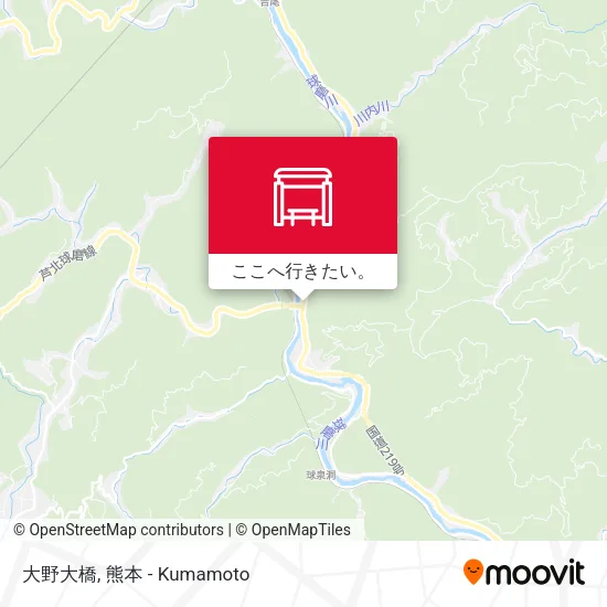 大野大橋地図
