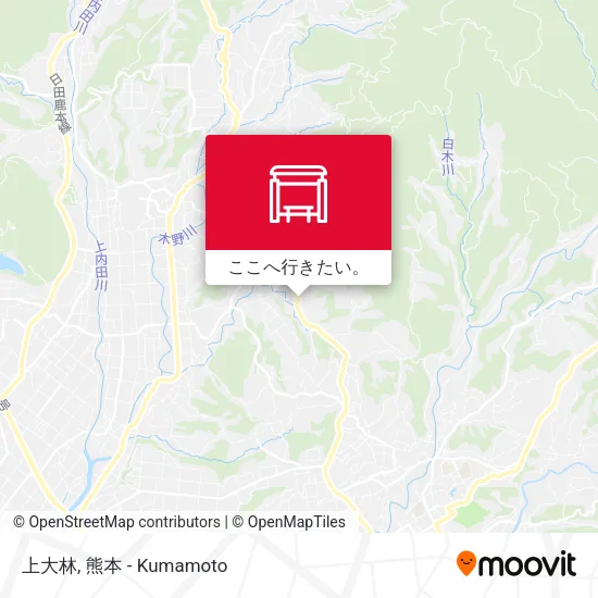 上大林地図
