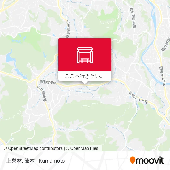 上巣林地図