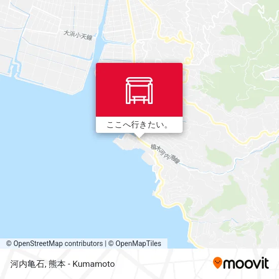 河内亀石地図