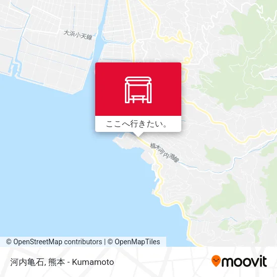 河内亀石地図