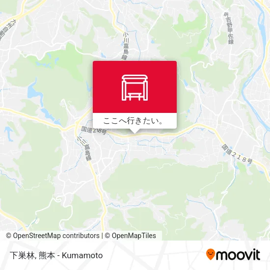 下巣林地図