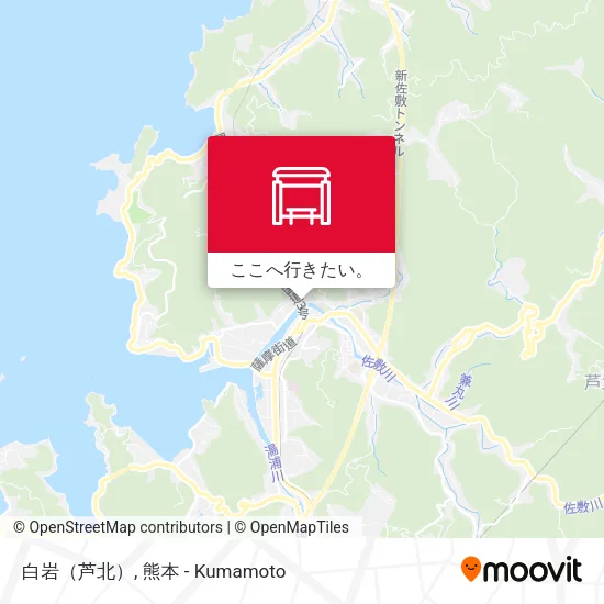 白岩（芦北）地図