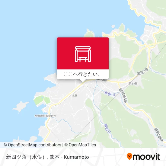 新四ツ角（水俣）地図