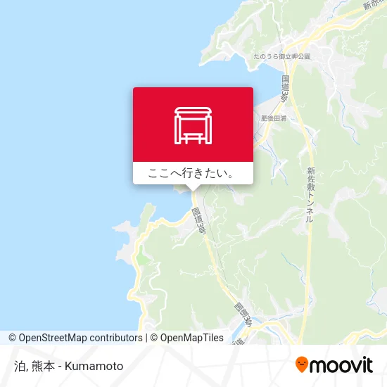 泊地図