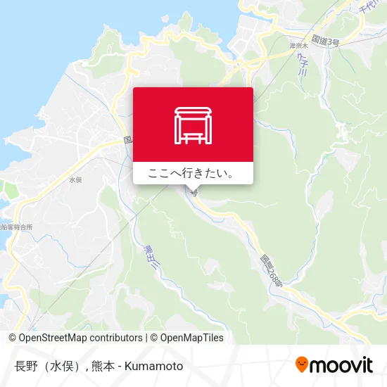長野（水俣）地図