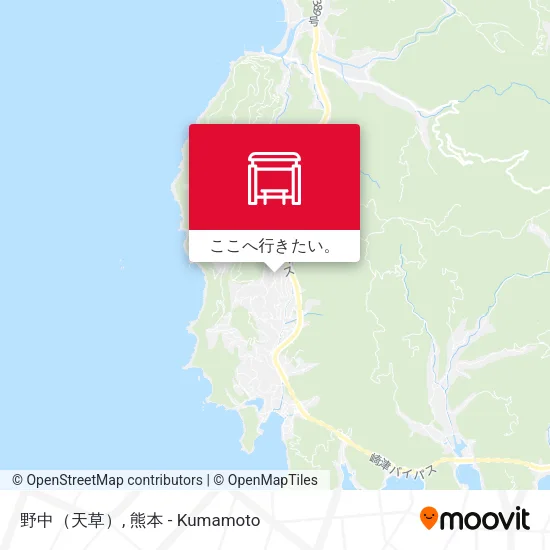 野中（天草）地図